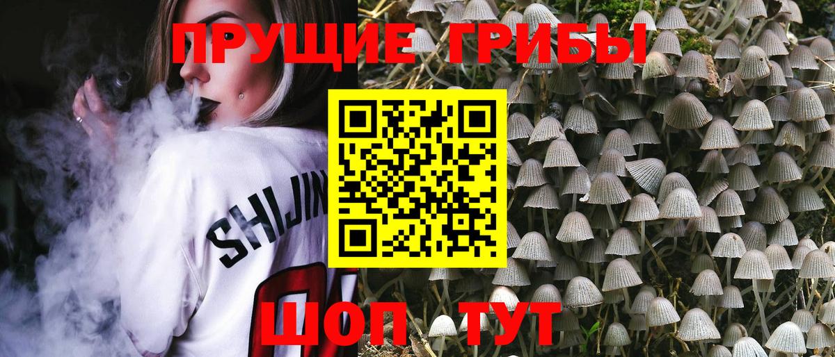 Псилоцибиновые грибы ЛСД Касимов