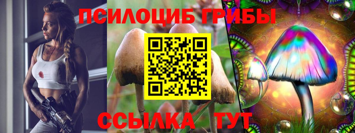 Псилоцибиновые грибы Psilocybe  Вход с VPN  Касимов 