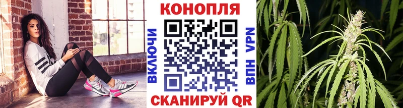 Бошки марихуана ГИДРОПОН Касимов